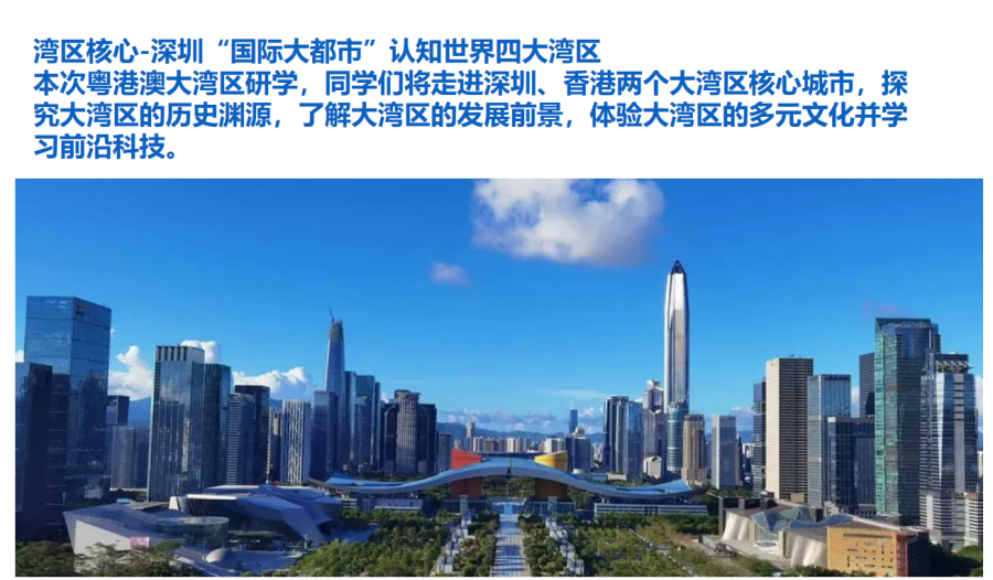 香港(深港)科企名校研学营-錦豐旅遊